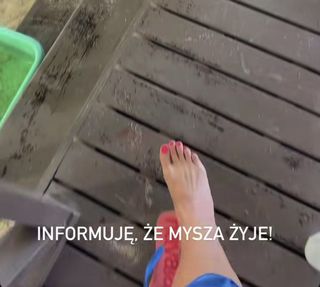 Agnieszka Kolodziejska feet photo 17