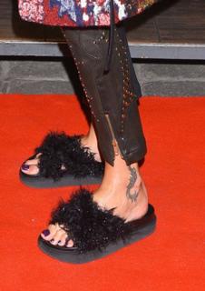 Agnieszka Wozniak-Starak feet photo thumbnail
