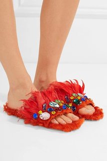 Agnieszka Wozniak-Starak feet photo thumbnail