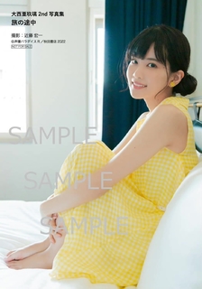 Aguri Ohnishi feet photo 18