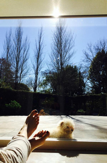 Agustina Cherri feet photo 13