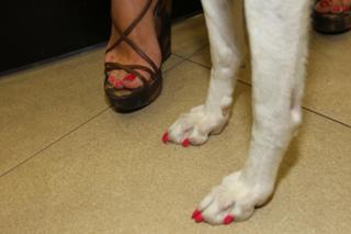 Agáta Pracharová feet photo 15