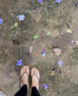 Ahaana Krishna feet photo 18