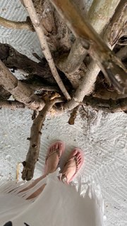 Ahaana Krishna feet photo 6