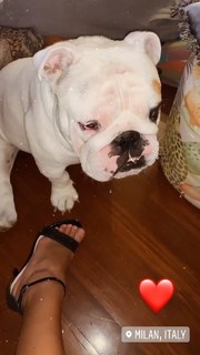 Ahlam El Brinis feet photo 17