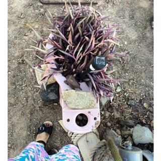 Ahna O'Reilly feet photo 4
