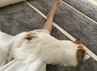 Aika Kobayashi feet photo 17