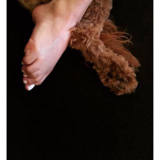 Aimee Carrero feet photo thumbnail