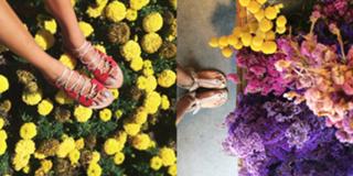 Aimee Song feet photo 4