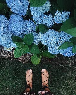 Aimee Song feet photo 19