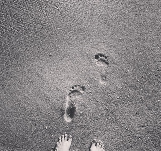 Aimee Teegarden feet photo 4