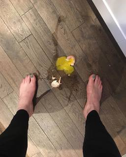 Aisling Bea feet photo thumbnail