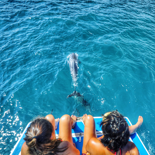 Aislinn Derbez feet photo thumbnail