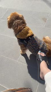 Aiza Awan feet photo 3