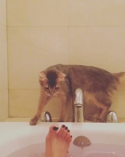 Akemi Darenogare feet photo 2