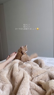 Akemi Darenogare feet photo 2