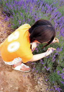 Aki Maeda feet photo 18