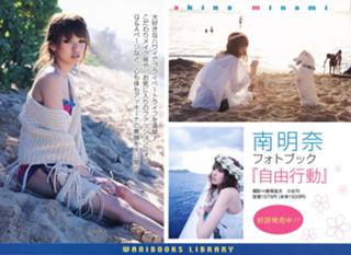 Akina Minami feet photo 16