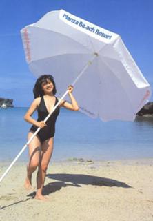 Akina Nakamori feet photo 2