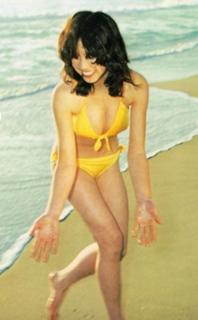 Akina Nakamori feet photo 10