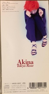 Akina Nakamori feet photo 16