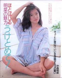 Akina Nakamori feet photo 12