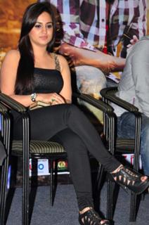 Aksha Pardasany feet photo 13