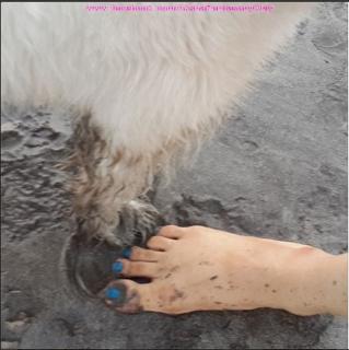 Aksha Pardasany feet photo 20