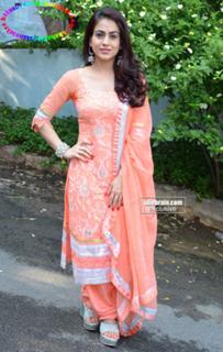 Aksha Pardasany feet photo 2
