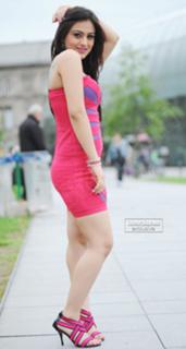 Aksha Pardasany feet photo 14