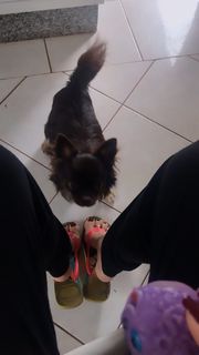 Alaine Crissiê feet photo thumbnail
