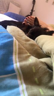 Alaine Crissiê feet photo thumbnail