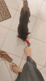Alaine Crissiê feet photo thumbnail
