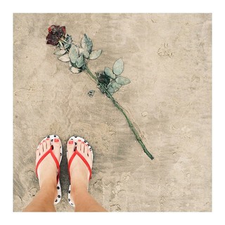 Alana Ferri feet photo 14