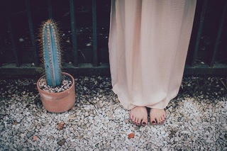 Alana Ferri feet photo 18