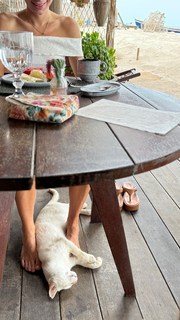 Alana Ferri feet photo 18
