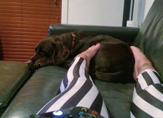 Alanah Pearce feet photo thumbnail