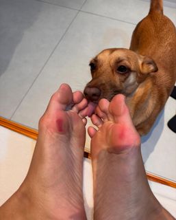 Alane Dias feet photo 9