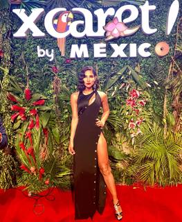 Alejandra Espinoza feet photo 16