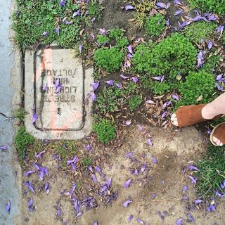 Aleksa Palladino feet photo 9