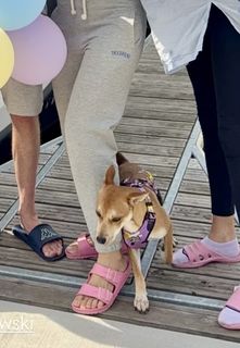 Aleksandra Kot feet photo 6