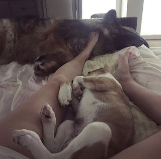 Aleksandra Kwasniewska feet photo 9