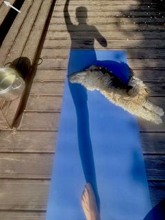 Aleksandra Poplawska feet photo 9