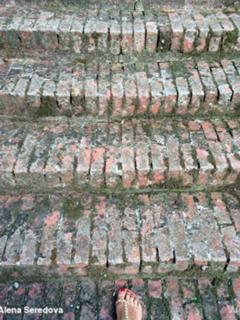 Alena Seredova feet photo thumbnail