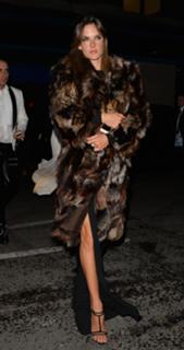 Alessandra Ambrosio feet photo thumbnail