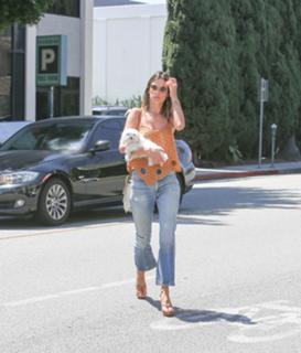 Alessandra Ambrosio feet photo thumbnail