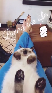 Alessandra Ambrosio feet photo thumbnail