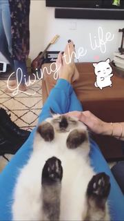 Alessandra Ambrosio feet photo thumbnail