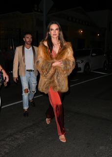 Alessandra Ambrosio feet photo thumbnail