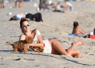 Alessandra Ambrosio feet photo thumbnail